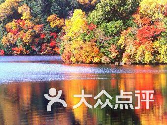 你允许女朋友有个女跟班吗?-知识星球平台